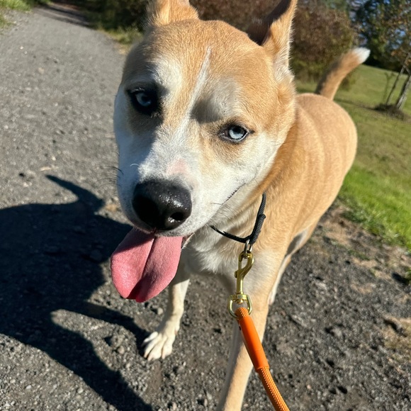 Meet Django - Picture 5 of 13